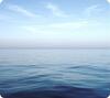 Hiirematt Fellowes Ocean, sinine