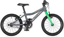 Laste jalgratas Author Record 16, Temple Grey/Fresh Green
