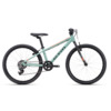 Laste jalgratas Ctm Rocky 1.0 24, matt grayish green-orange