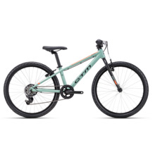 Laste jalgratas Ctm Rocky 1.0 24, matt grayish green-orange