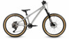 Laste jalgratas Early Rider Hellion 24, hõbedane