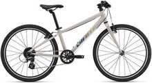 Laste jalgratas Giant ARX 24, 24, mushroom