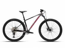 Jalgratas Polygon Xtrada 6, 29, M, hall/must
