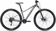 Mägiratas Liv Tempt 2, 29, M, hall