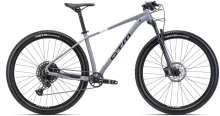 Jalgratas Ctm Rascal 1.0, 29, hall/must