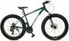 Maastikuratas Corelli Zengo FatBike, 26, 16, roheline