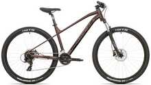 Maastikuratas Rock Machine Catherine 40-27, 27.5, M, pruun