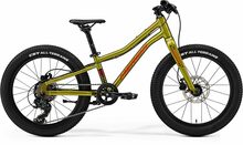 Lasteratas Merida Matts J.20+ I3 fall, roheline