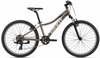 Laste jalgratas Giant XTC Jr 24 Metal, hall