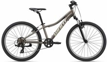 Laste jalgratas Giant XTC Jr 24 Metal, hall