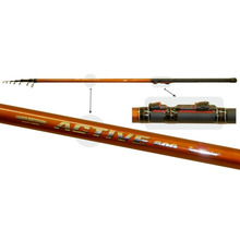 Bolognese ritv SurfMaster Active TX-20, 6 m, 10-30 g