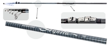 Bolognese ritv Surf Master Agusta TX-40, 400 cm, 10-30 g, hall