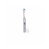 Hambahari Vitis Compact Medium