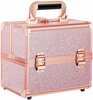 Kosmeetikakohver Osom Professional Cosmetic Case OSOMP8316RG, roosa kuld