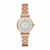 Naiste käekell Emporio Armani AR1909, roosa