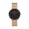 Naiste kell Daniel Wellington Petite DW00100303, roosa