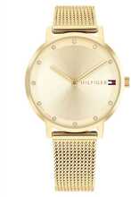 Naiste kell Tommy Hilfiger 1782728 Pippa, kinkekarbis