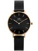 Naiste kell Daniel Wellington DW00100201, Petite Ashfield