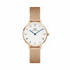 Naiste käekell Daniel Wellington Petite Roman Numerals Melrose DW00100681, kuldne