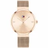 Käekell Tommy Hilfiger Liberty 1782218, hõbedane
