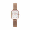 Naiste kell Daniel Wellington DW00100510, kuldne