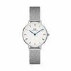 Naiste käekell Daniel Wellington Petite Roman Numerals Sterling DW00100684, hõbedane
