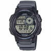 Casio AE-1000W-8AVEF, hall