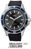 Käekell Q&Q QB24J302Y, must