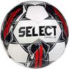 Jalgpall Select Tempo TB, suurus 4, valge/hall