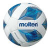 Saalijalgpalli pall Molten Futsal Training F9A2000