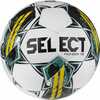 Jalgpall Select Pioneer TB IMS T26-17849, suurus 5
