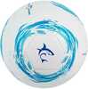 Jalgpall White Shark TB-001 Dribbler, 32 paneeli, valge