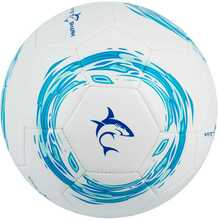 Jalgpall White Shark TB-001 Dribbler, 32 paneeli, valge