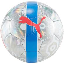 Jalgpall Puma Cup, suurus 4, hõbe