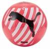 Jalgpall Puma Big Cat 83994 05, suurus 5