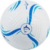 Jalgpall White Shark MB-001 Striker, 12 paneeli, valge