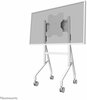 Televiisori ratastega alus Neomounts FL50-515WH1, 55-65 tolli, kuni 50 kg
