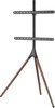 Televiisori alus Manhattan Mobile TV Stand, 37-65 tolli, kuni 32 kg, VESA 200x200-600x400, sinine/pruun