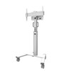 Televiisori põrandastatiiv Neomounts FL50S-825WH1, 32-75 tolli, kuni 70 kg, valge