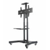 Televiisori põrandastatiiv NewStar NM-M1700BLACK, 32-75 tolli