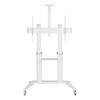 Mobiilne teleri alus Techly, 70-120 tolli, kuni 140 kg, valge