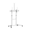 Televiisori põrandastatav alus Sbox FS-3610, 60-100 tolli, kuni 100 kg, valge