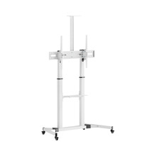 Televiisori põrandastatav alus Sbox FS-3610, 60-100 tolli, kuni 100 kg, valge