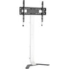 Televiisori põrandastatiiv Techly ICA-LCD-S07L, 32-70 tolli, kuni 40 kg