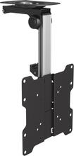 Televiisori kinnitus Cabletech, 17-37 tolli, kuni 20 kg