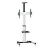 Televiisori alus Logilink BP0025, 37-70 tolli, kuni 50 kg