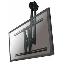 Televiisori laekinnitus NewStar PLASMA-C100, 37-75 tolli, kuni 50 kg