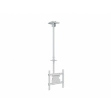 Televiisori kinnitus Multibrackets MB-2494, 32-55 tolli, kuni 70 kg