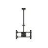 Televiisori laekinnitus Multibracket M Public 3000, 32-75 tolli, kuni 80 kg