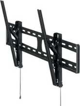 Televiisori kinnitus Hagor BL Tilt, 46-65 tolli, kuni 60 kg